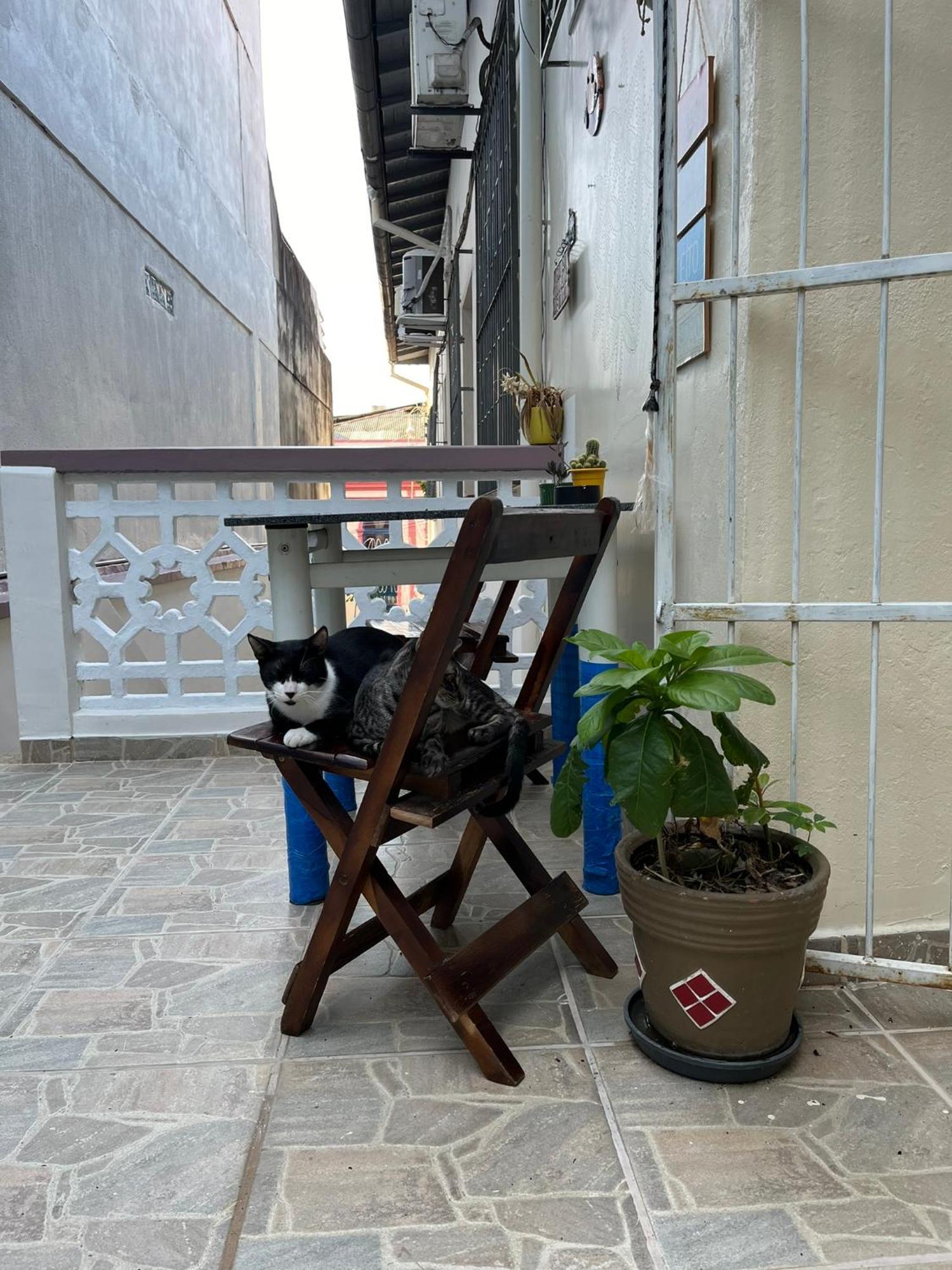 Aldeia Hostel Manaus Exterior photo